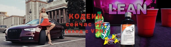 стаф Магас