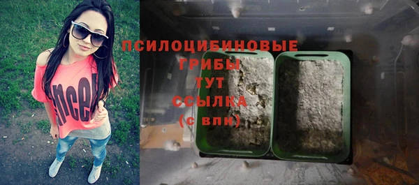 дурь Майский