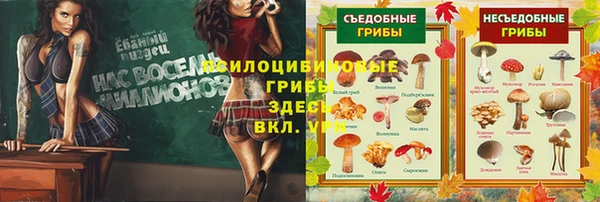 герыч Абаза